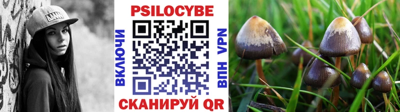 Псилоцибиновые грибы ЛСД Купить закладки Сибай