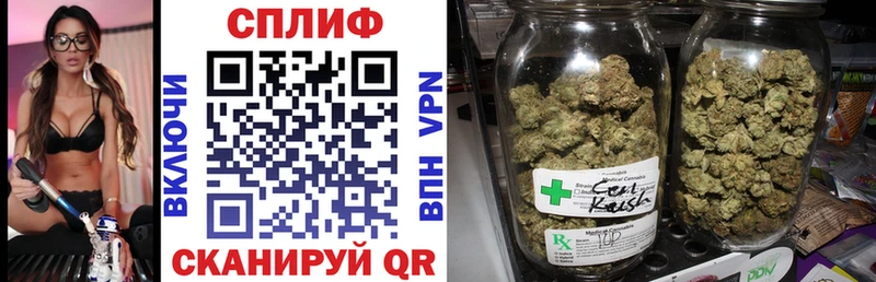 Марихуана индика  Купить где  Сибай 